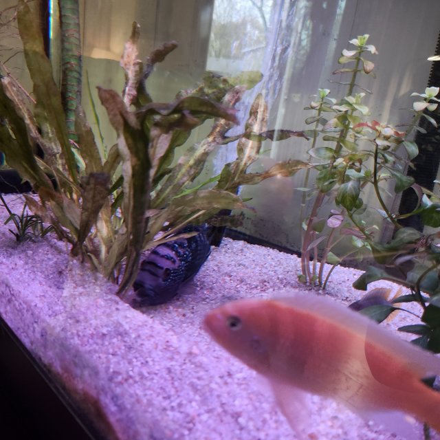 1000024455.jpg 1000024455.jpg