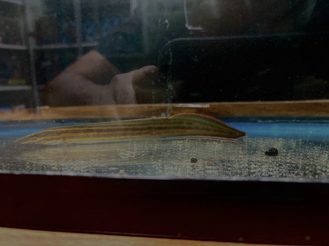 IMG_0043.jpeg IMG_0043.jpeg