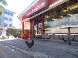 KFC with chicken outside.jpeg