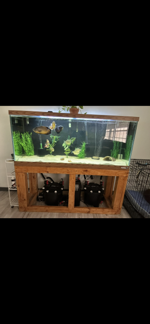 IMG_4541.png IMG_4541.png