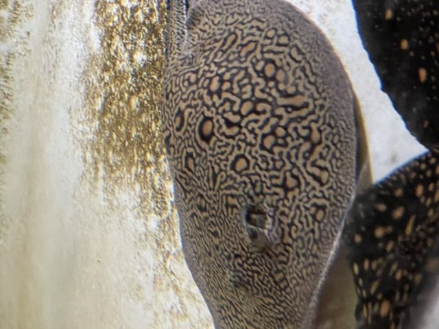 1AD72E4E-FC8B-4C08-B8B7-9CDDF868FA48.jpeg