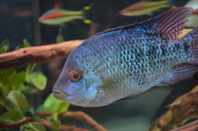 IMG_0690.jpeg IMG_0690.jpeg