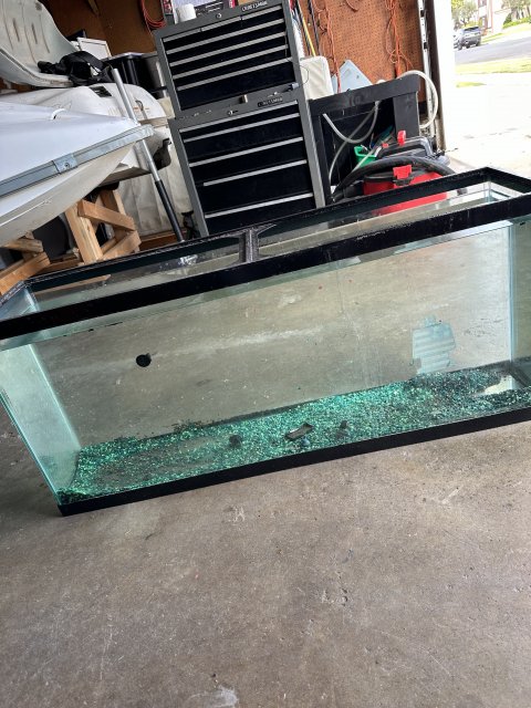 IMG_6630.jpeg IMG_6630.jpeg