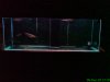 DSC00388.JPG