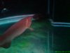 DSC00391.JPG