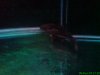 DSC00393.JPG