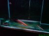 DSC00402.JPG
