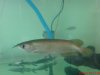 DSC00676.JPG
