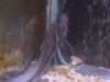 DSC01667.JPG