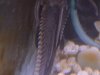 DSC01668.JPG
