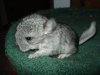 DSC00202.JPG