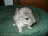 DSC00199.JPG