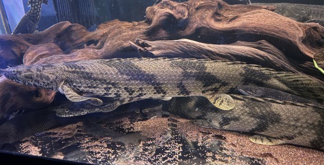 IMG_9034.jpeg IMG_9034.jpeg