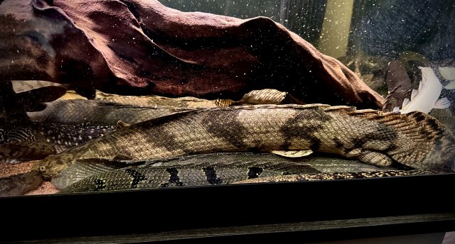 IMG_0408.jpeg IMG_0408.jpeg