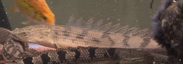 IMG_0426.jpeg IMG_0426.jpeg