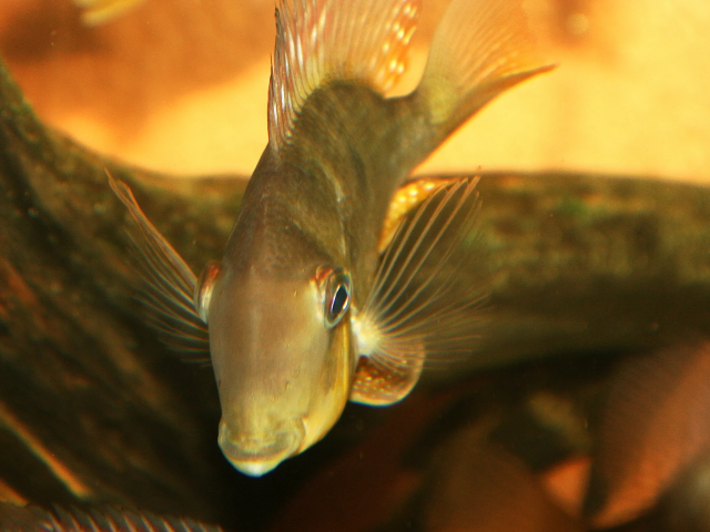 1736003104773.png 1736003104773.png