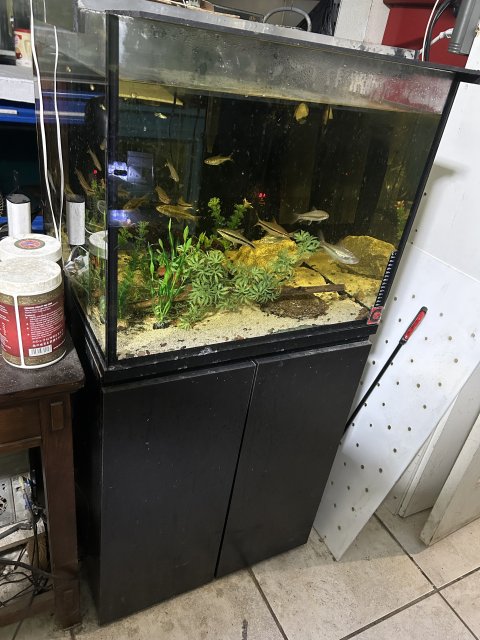 IMG_0142.jpeg IMG_0142.jpeg