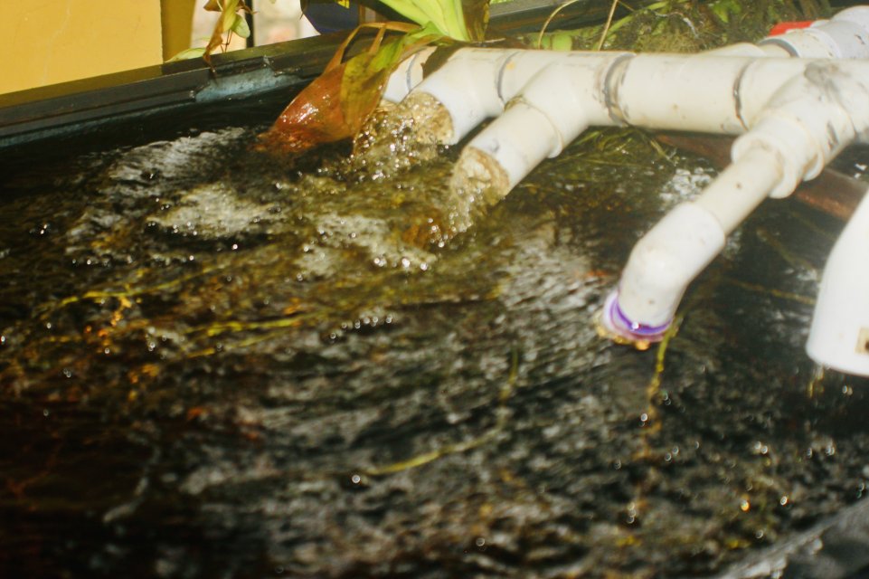 IMG_4859.jpeg IMG_4859.jpeg