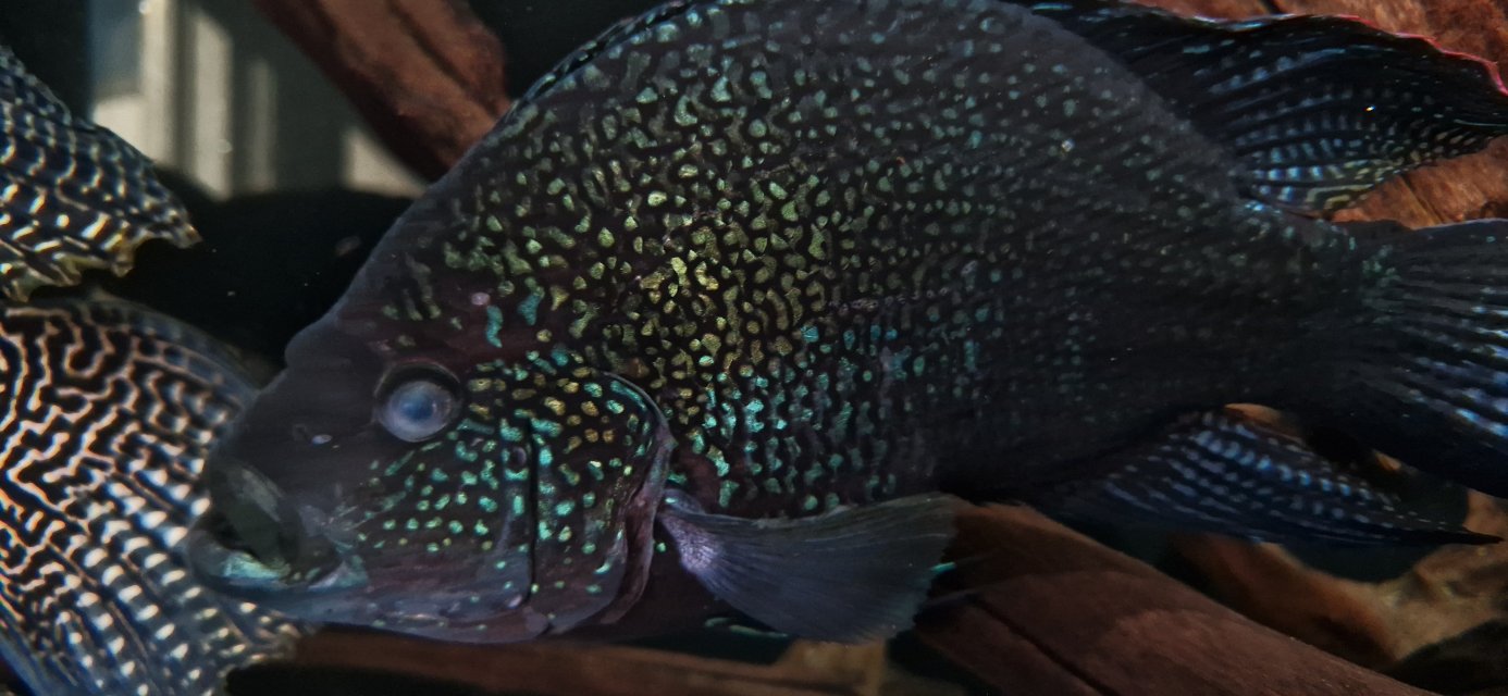 20250216_101140.jpg