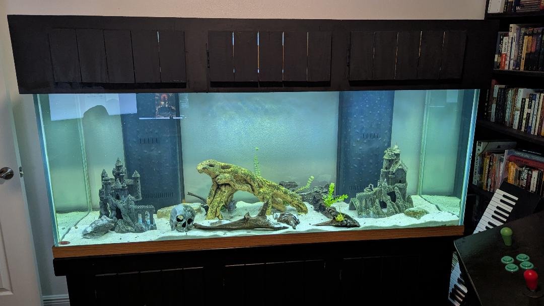 tankpic1.jpg tankpic1.jpg