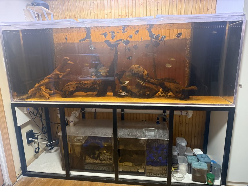 300gallon.JPG 300gallon.JPG