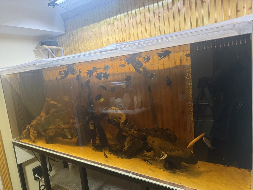 300gallon1.JPG 300gallon1.JPG