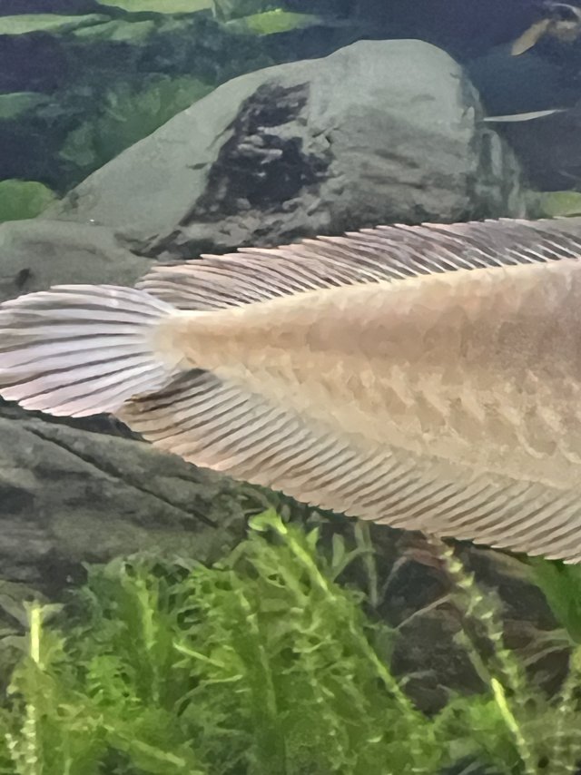 IMG_2483.jpeg IMG_2483.jpeg