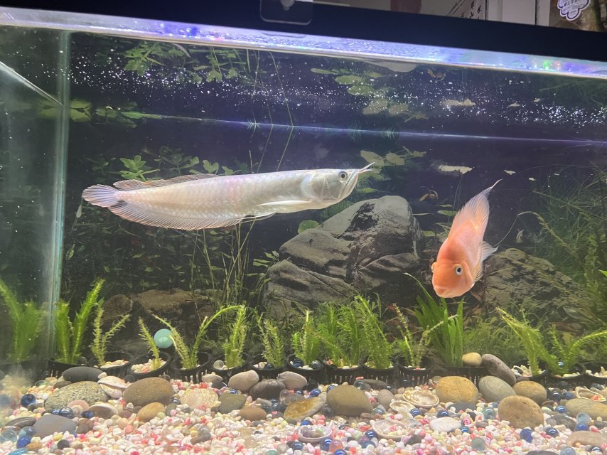 IMG_2484.jpeg IMG_2484.jpeg