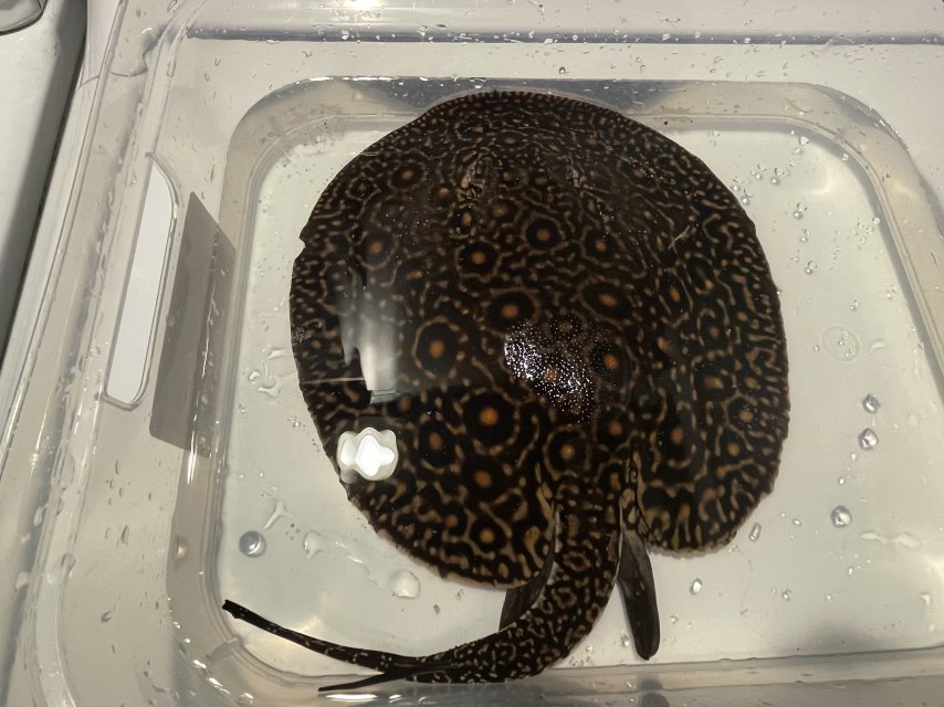 IMG_1592.jpeg IMG_1592.jpeg