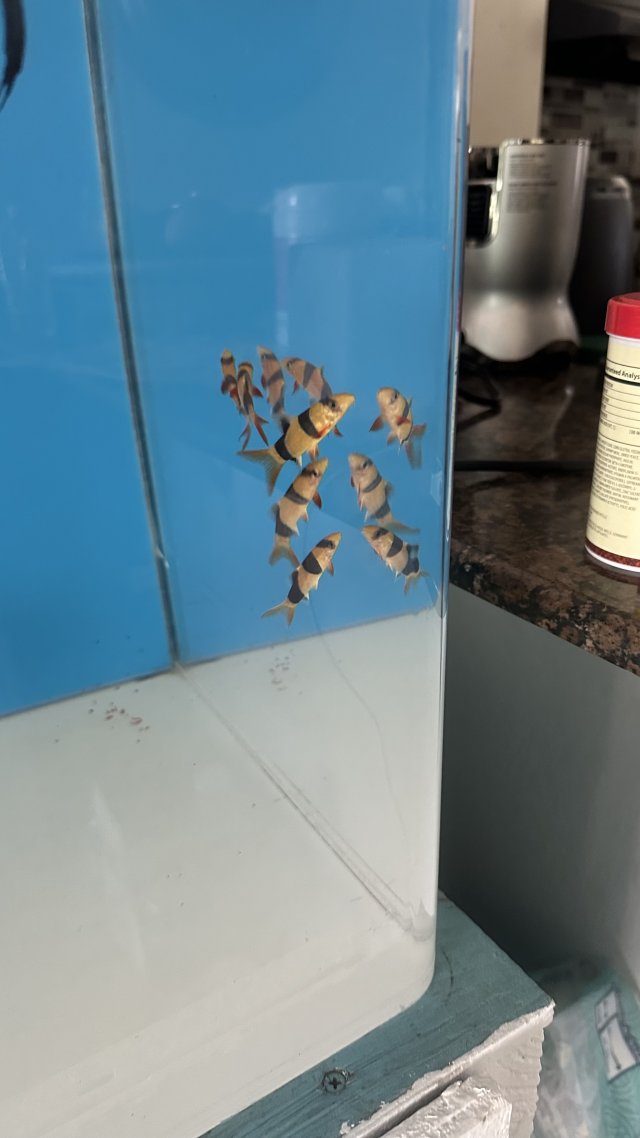 IMG_4891.jpeg IMG_4891.jpeg