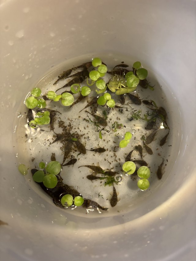 IMG_5706.jpeg IMG_5706.jpeg