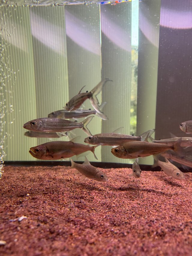 IMG_8618.jpeg IMG_8618.jpeg