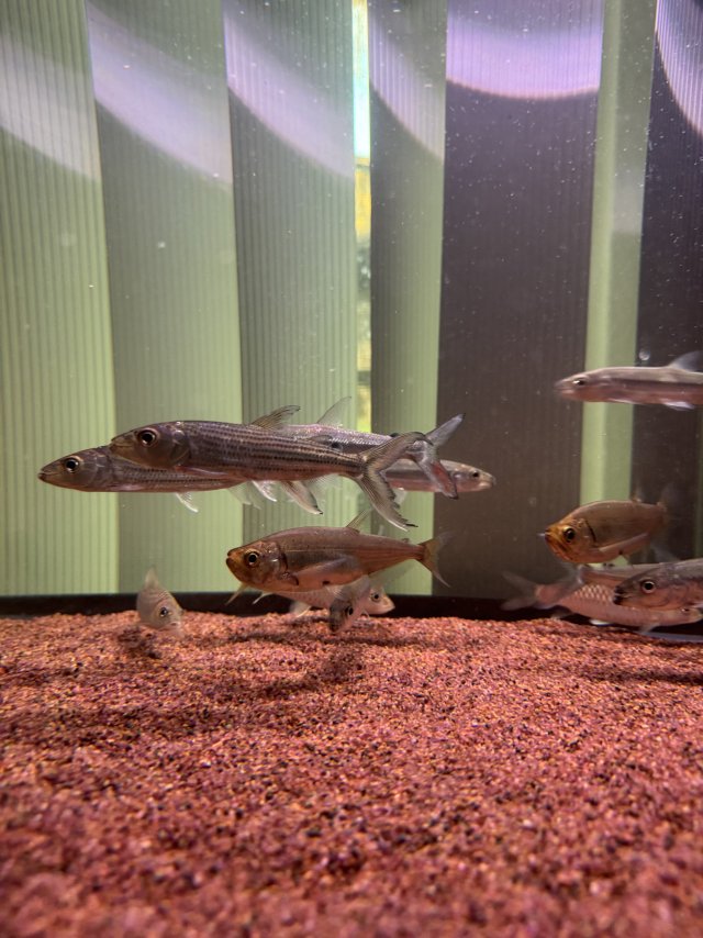 IMG_8617.jpeg IMG_8617.jpeg