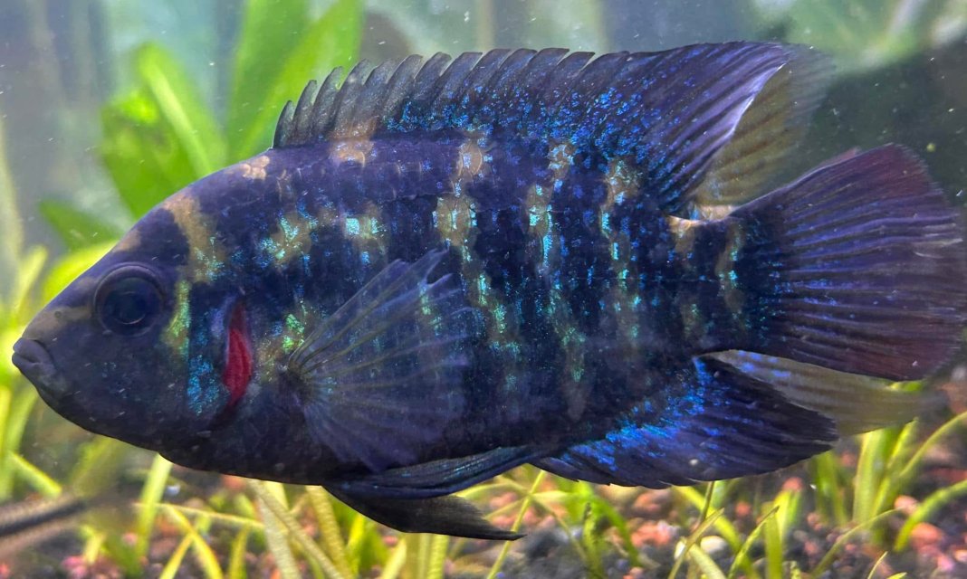 IMG_7692.jpeg IMG_7692.jpeg