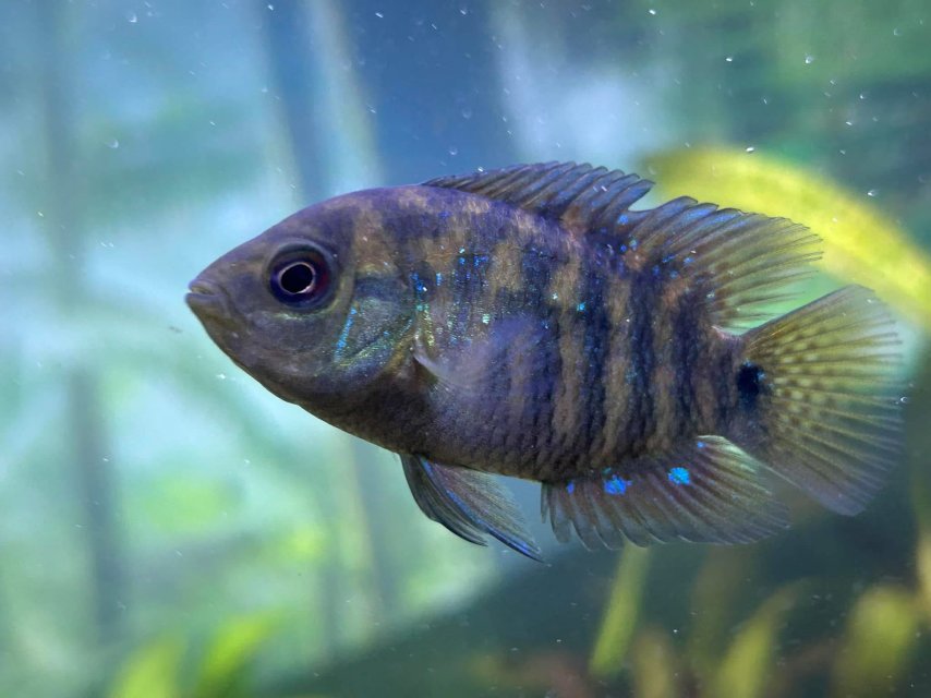 IMG_7693.jpeg IMG_7693.jpeg