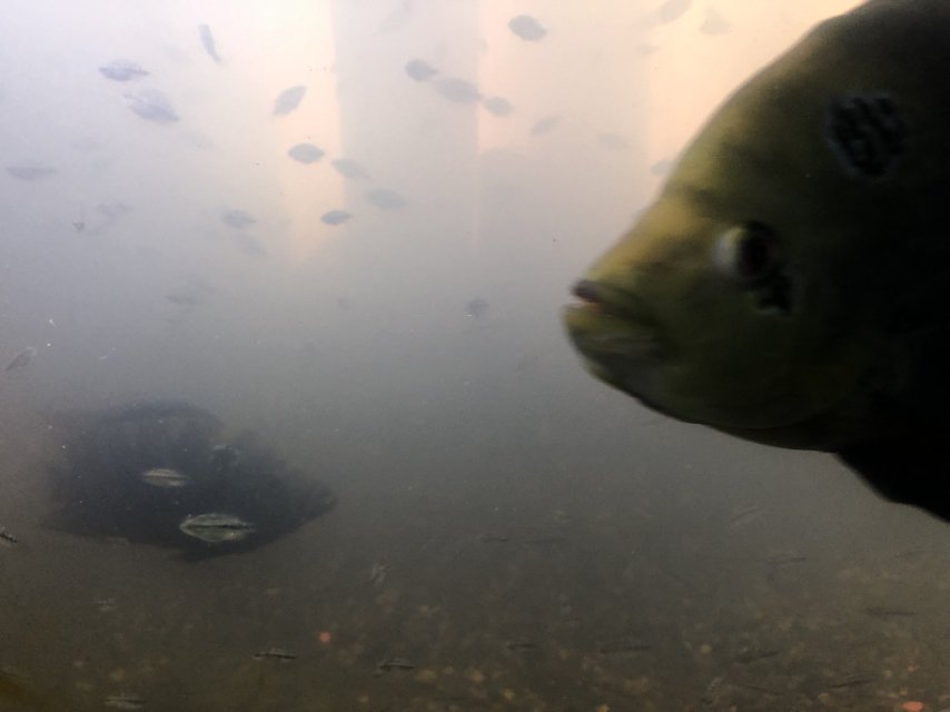 IMG_0415.jpeg IMG_0415.jpeg