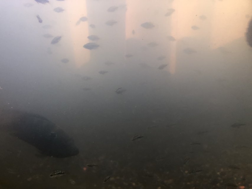 IMG_0414.jpeg IMG_0414.jpeg