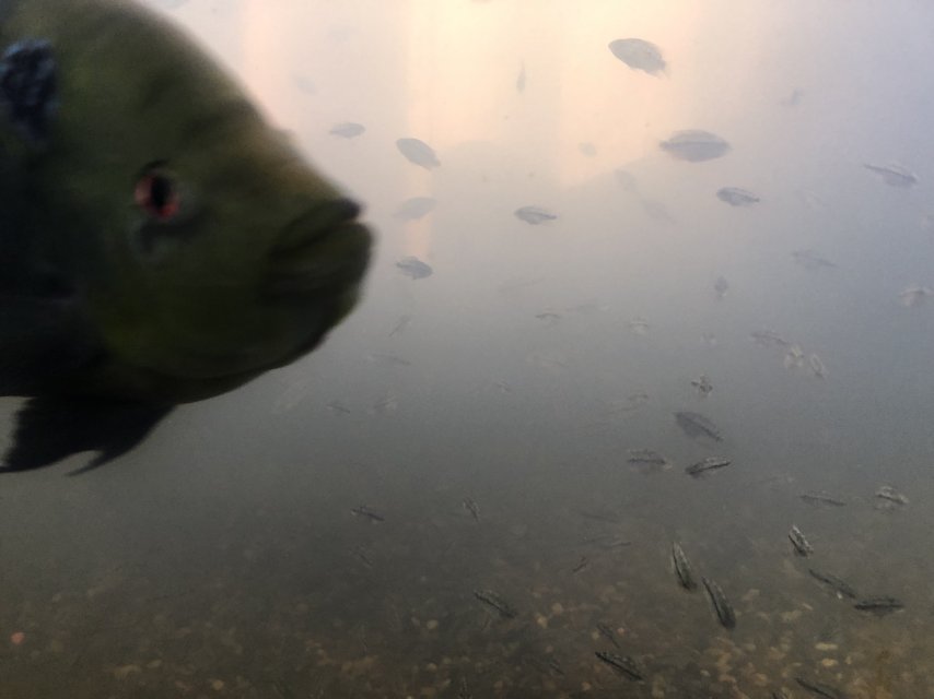 IMG_0413.jpeg IMG_0413.jpeg