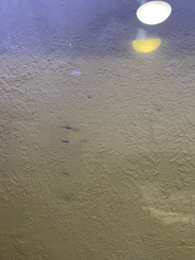 IMG_2924.jpeg