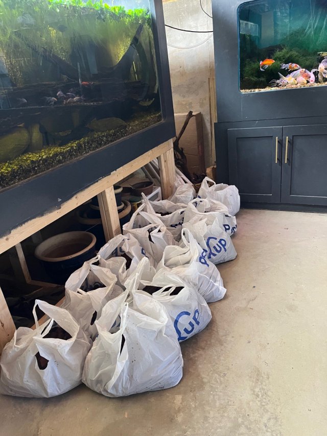 12 groby bags of rinsed lava rock. About 20 to 25 pounds per bag..jpg