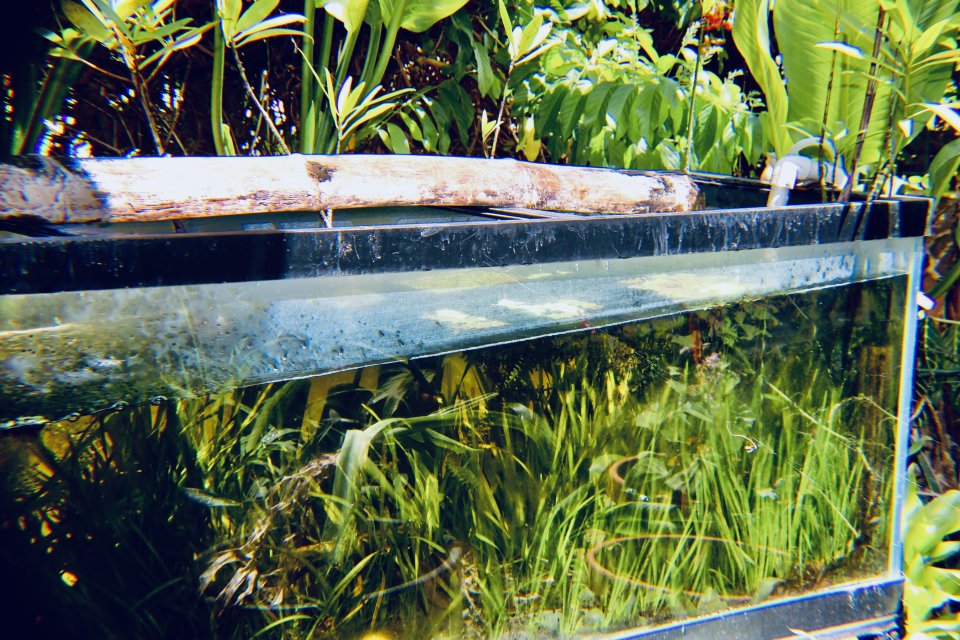 IMG_0227.jpeg IMG_0227.jpeg