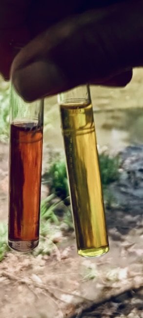 c6b5b649-ca76-4502-b3b4-4885a7aa0dcc.jpeg c6b5b649-ca76-4502-b3b4-4885a7aa0dcc.jpeg