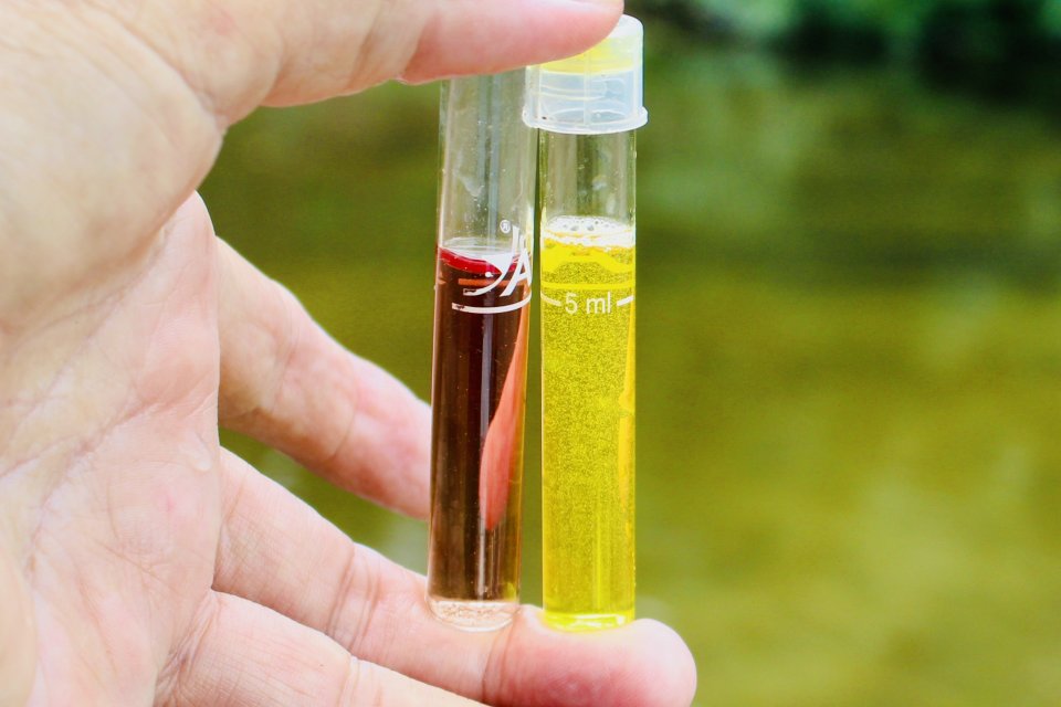 IMG_4378.jpeg IMG_4378.jpeg