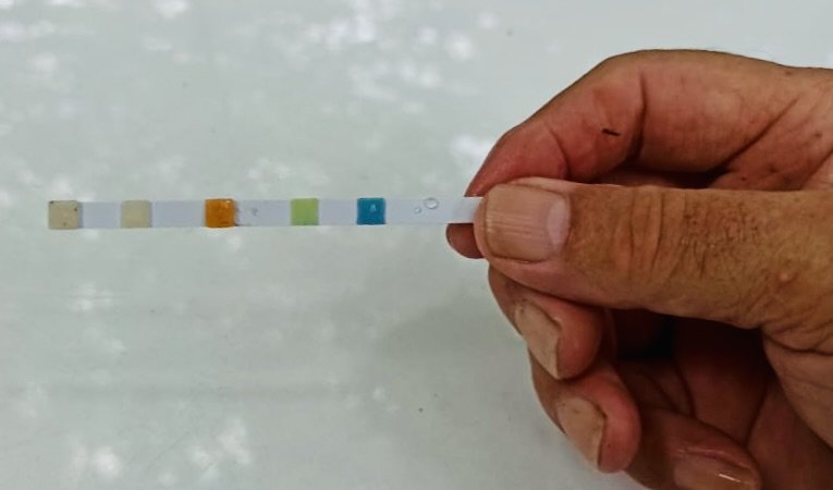 6a58ef36-e414-4747-b1a5-6425efe9cbe2.jpeg 6a58ef36-e414-4747-b1a5-6425efe9cbe2.jpeg