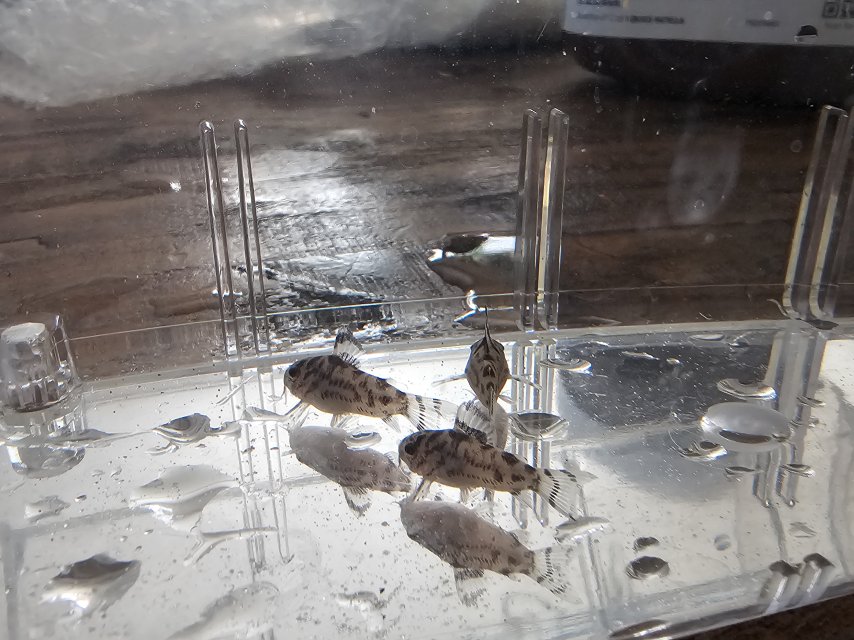 20250308_163235.jpg 20250308_163235.jpg