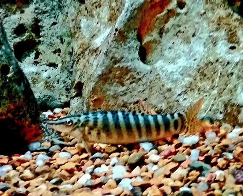 20211127_054206.jpg