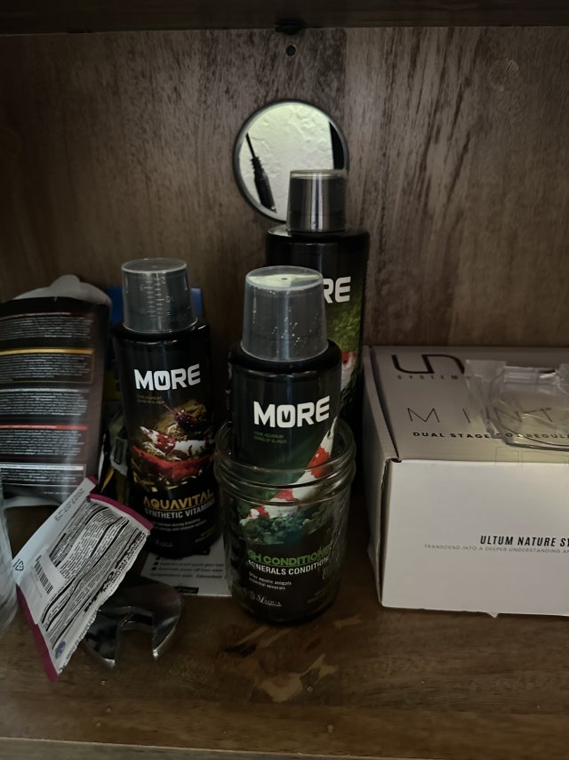 IMG_9029.jpeg