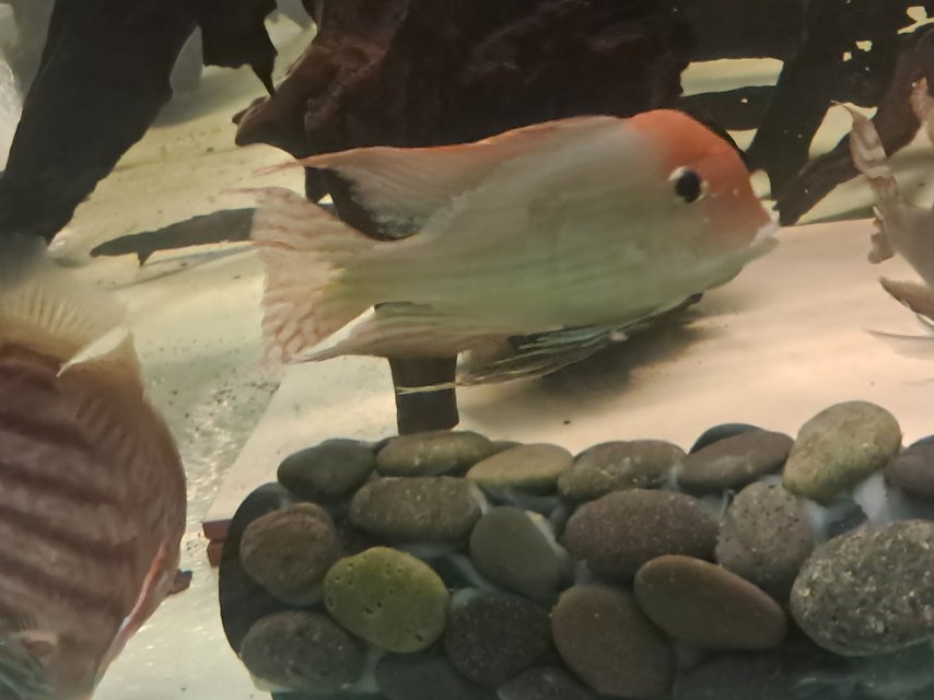 1000001780.jpg 1000001780.jpg