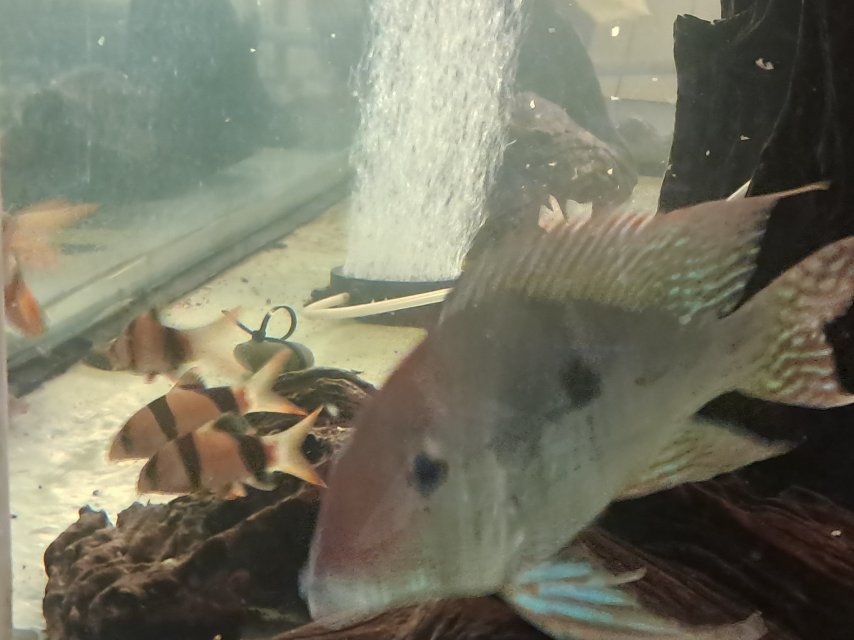 1000001777.jpg 1000001777.jpg