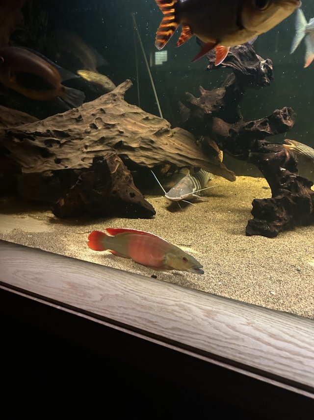 IMG_6154.jpeg IMG_6154.jpeg